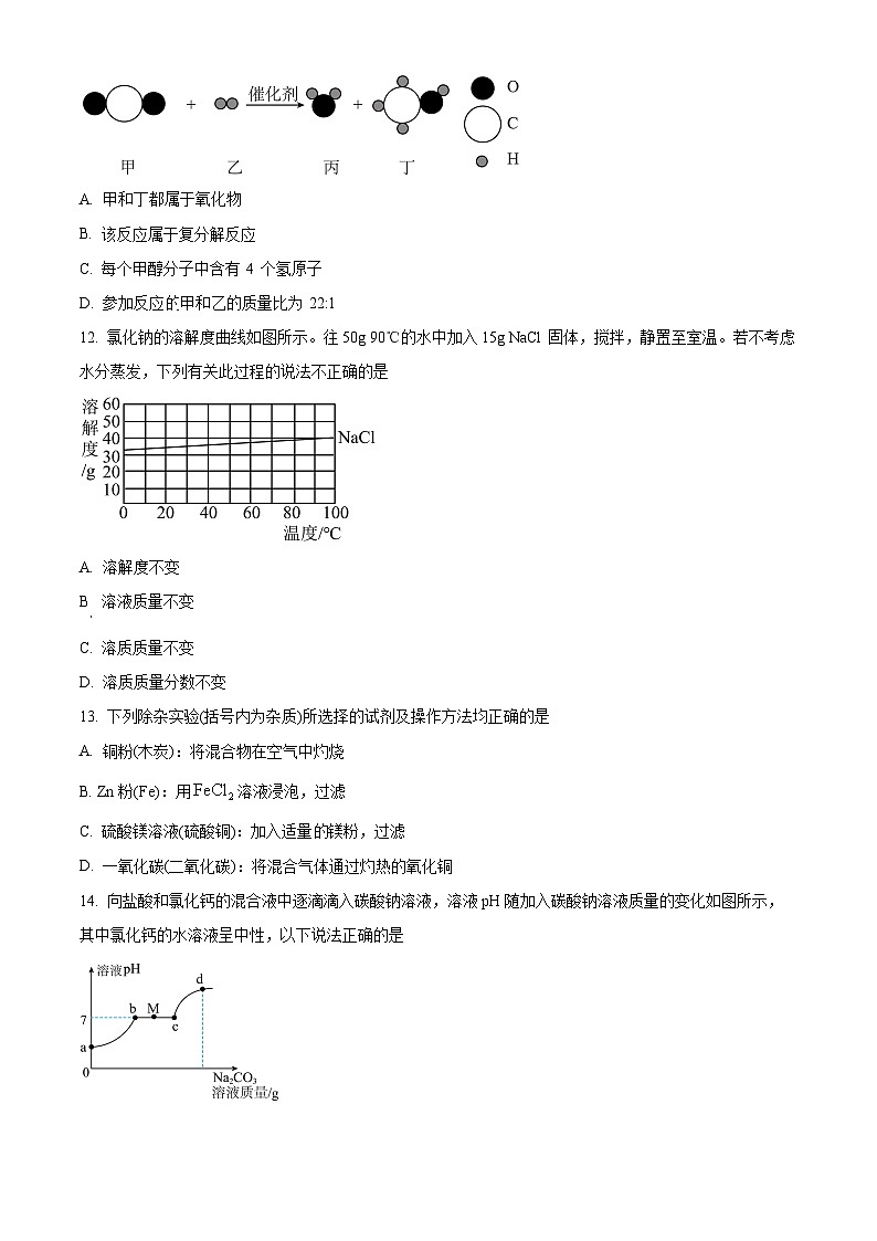 广东省广州市第六十五中学2023-2024学年九年级下学期4月考试化学试题（原卷版）第3页