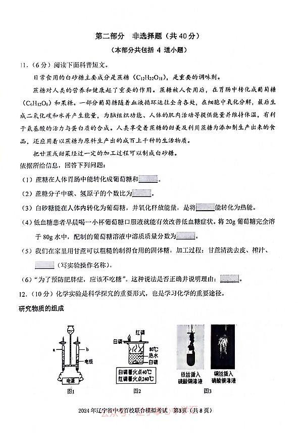 2024年辽宁省中考百校联合模拟预测化学试题（一）第3页