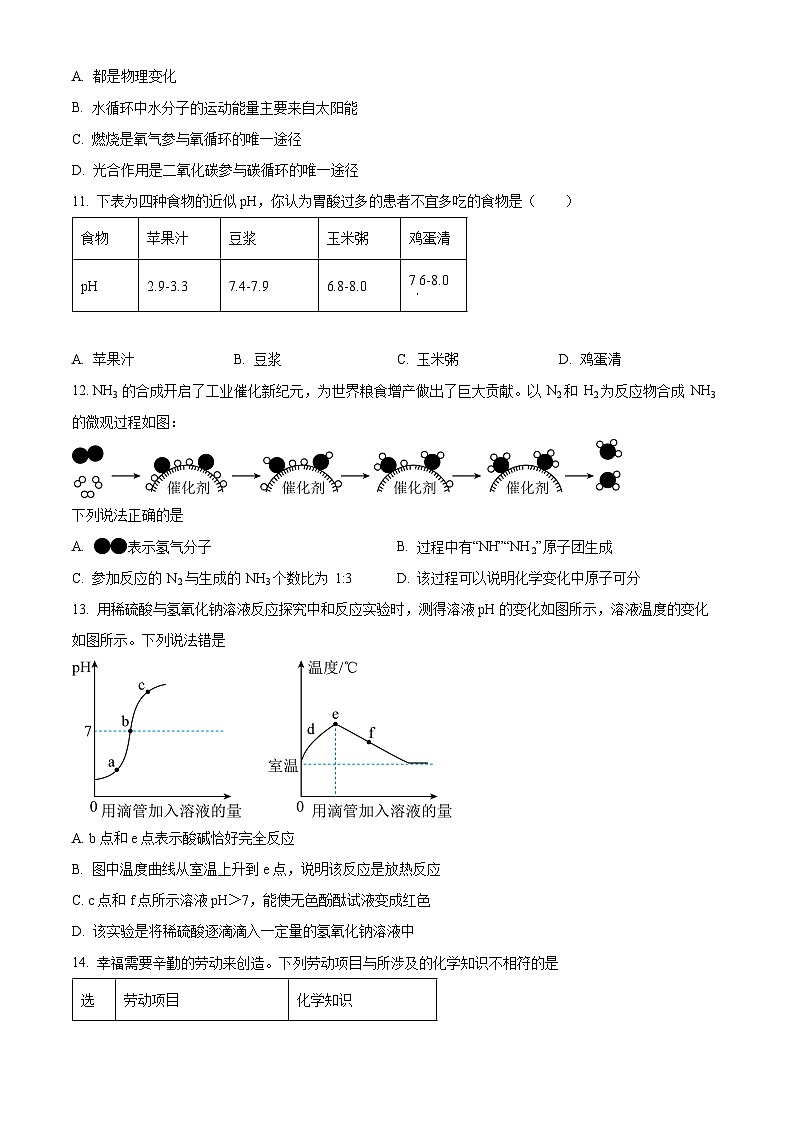 2024年山东省淄博市博山区中考一模化学试卷（原卷版+解析版）03