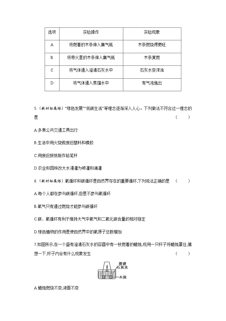 2024年中考化学课时练---6.3 二氧化碳和一氧化碳(一)第3页