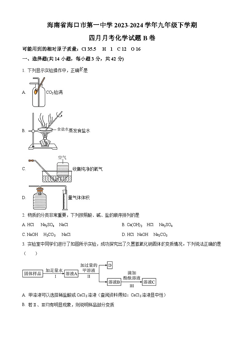 海南省海口市第一中学2023-2024学年九年级下学期四月月考化学试题B卷（原卷版+解析版）01