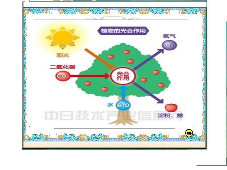 2.3 制取氧气（课件）人教版初中化学 九年级上册05