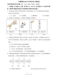 【全套精品专题】初中复习专题精讲湖南省长沙市四大名校附属中学  中雅培粹2022年中考化学二模试卷（带答案）