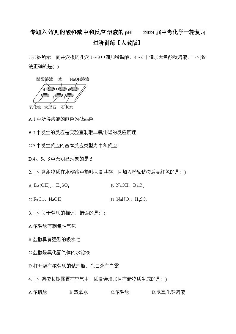 专题六 常见的酸和碱 中和反应 溶液的pH——2024届中考化学一轮复习进阶训练【人教版】01