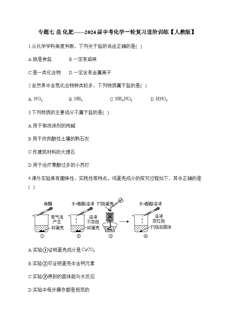 专题七 盐 化肥——2024届中考化学一轮复习进阶训练【人教版】01
