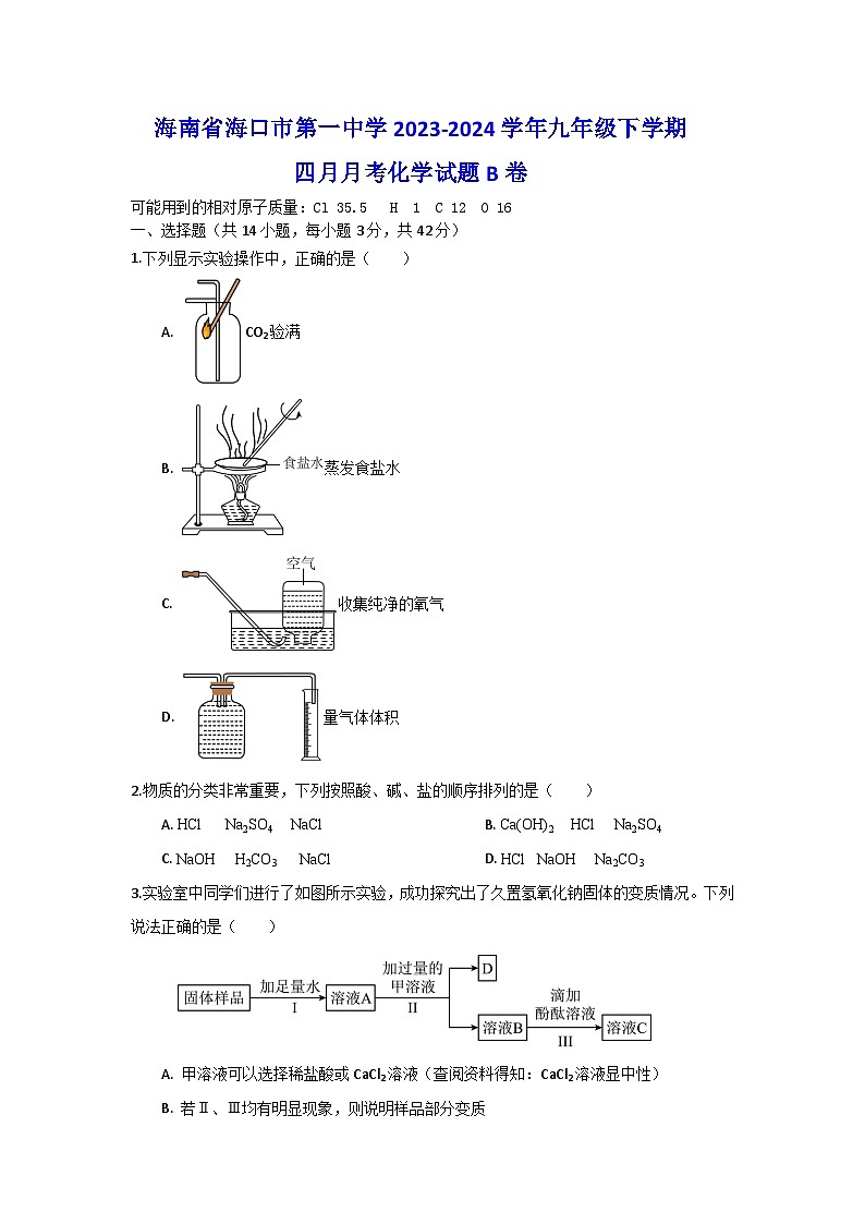 海南省海口市第一中学2023-2024学年九年级下学期四月月考化学试题B卷01