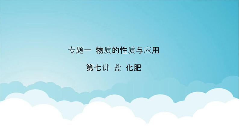 2024年中考化学复习专题练一物质的性质与应用第七讲盐化肥1课件第1页