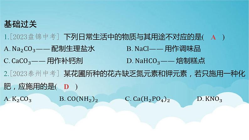 2024年中考化学复习专题练一物质的性质与应用第七讲盐化肥1课件第2页