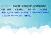 2024年中考化学复习专题练四化学与社会 跨学科实践第二讲化学与合成材料化学与健康1课件