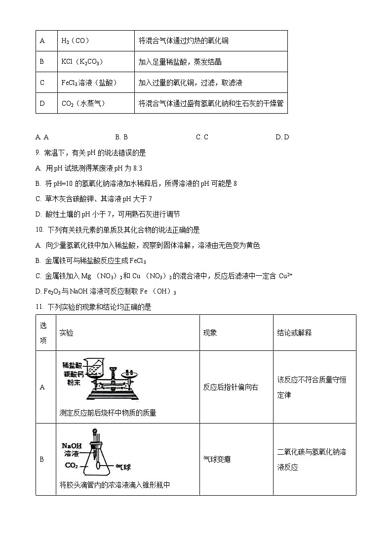 广东省广州大学附属中学2023-2024学年九年级下学期4月月考化学试卷（原卷版）第3页