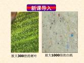 3.1 分子和原子（课件）-人教版初中化学九年级上册