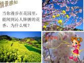3.1《分子和原子》教学课件 人教版初中化学九年级上册