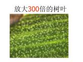 3.1《分子和原子》课件-人教版初中化学九年级上册