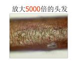 3.1《分子和原子》课件-人教版初中化学九年级上册