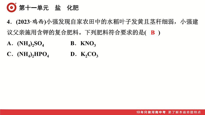 第11单元　盐　化肥课件-中考化学二轮复习第5页