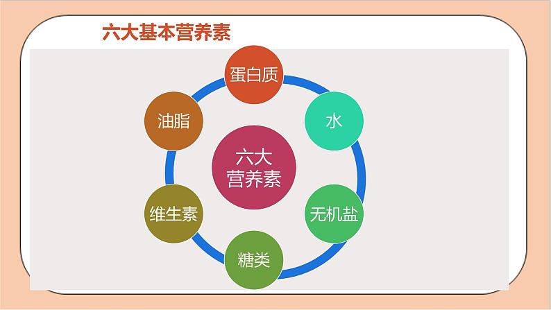 人教版化学九年级下册 12.1《人类重要的营养物质》课件05