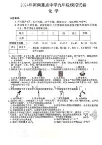 2024年河南省新乡市辉县市胡桥乡中心校、吴村第二中学九年级模拟预测化学试题