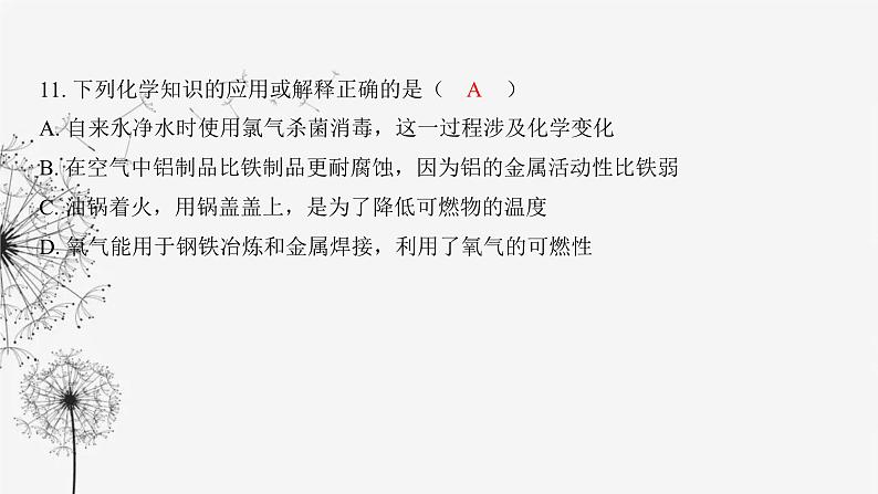 中考化学复习仿真试卷（二）课件第8页