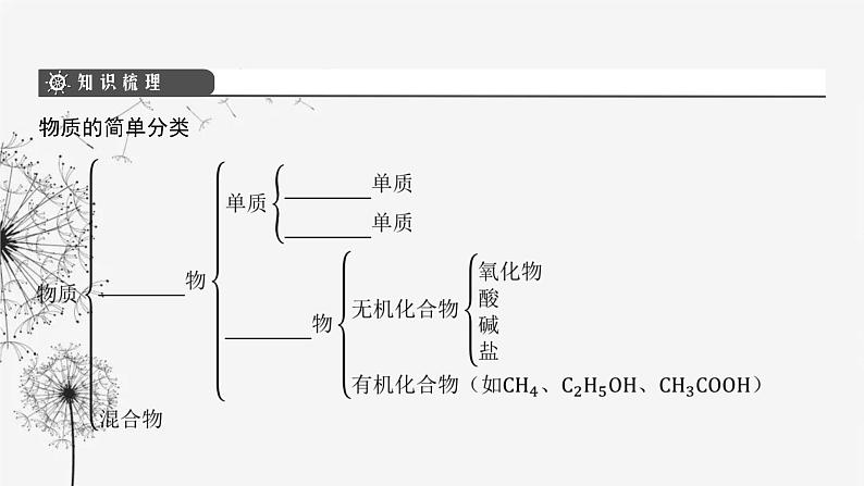 中考化学复习第一单元物质构成的奥秘第四讲物质的分类课件04