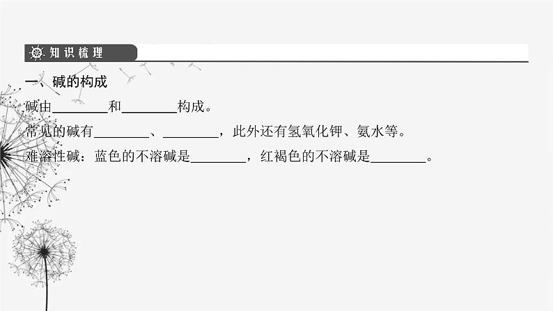 中考化学复习第三单元身边的化学物质第十四讲常见的碱课件第4页