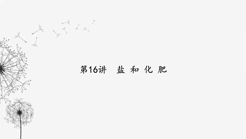 中考化学复习第三单元身边的化学物质第十六讲盐和化肥课件第2页