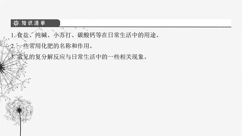 中考化学复习第三单元身边的化学物质第十六讲盐和化肥课件第3页