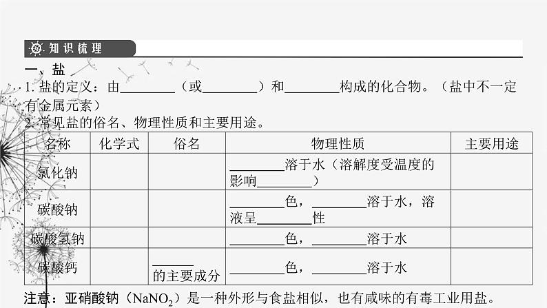 中考化学复习第三单元身边的化学物质第十六讲盐和化肥课件第4页