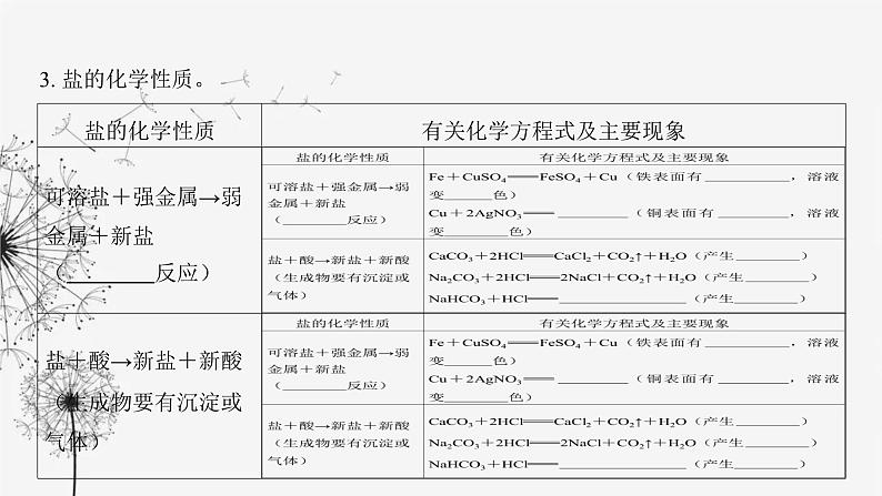 中考化学复习第三单元身边的化学物质第十六讲盐和化肥课件第5页