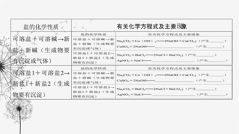 中考化学复习第三单元身边的化学物质第十六讲盐和化肥课件第6页