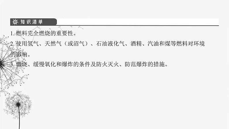 中考化学复习第四单元化学与社会发展第十七讲燃料与燃烧课件第3页