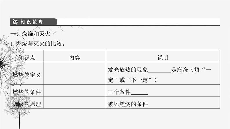 中考化学复习第四单元化学与社会发展第十七讲燃料与燃烧课件第4页