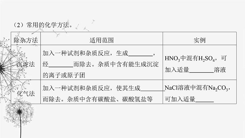 中考化学复习第五单元基本实验第二十一讲物质的分离与提纯课件第5页