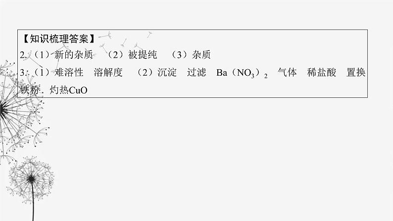 中考化学复习第五单元基本实验第二十一讲物质的分离与提纯课件第7页