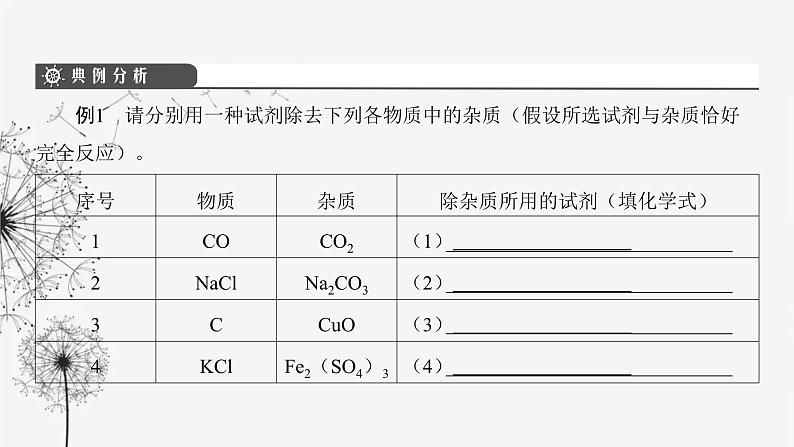 中考化学复习第五单元基本实验第二十一讲物质的分离与提纯课件第8页