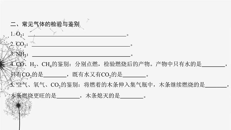 中考化学复习第五单元基本实验第二十二讲物质的检验与鉴别课件第4页