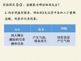 鲁教版化学九年级下册 第七单元 第一节 酸及其性质(3) 课件