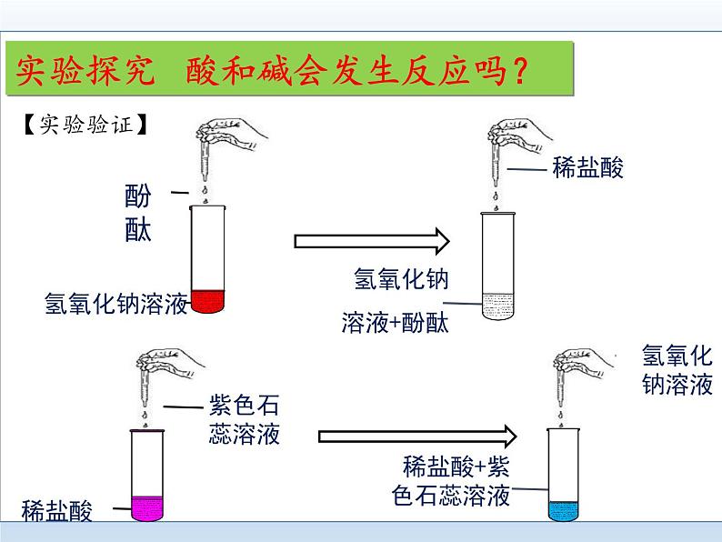 鲁教版化学九年级下册 第七单元 第四节 酸碱中和反应(3) 课件08