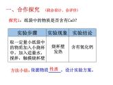 鲁教版化学九年级下册 第七单元 定性定量看变质 课件