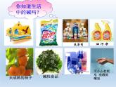 鲁教版化学九年级下册 第七单元 第二节 碱及其化学性质 课件