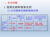 鲁教版化学九年级下册 第七单元 第二节 碱及其化学性质 课件