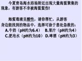 鲁教版化学九年级下册 第七单元 第四节 中和反应 课件