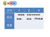 鲁教版化学九年级下册 第七单元 第四节 中和反应 课件