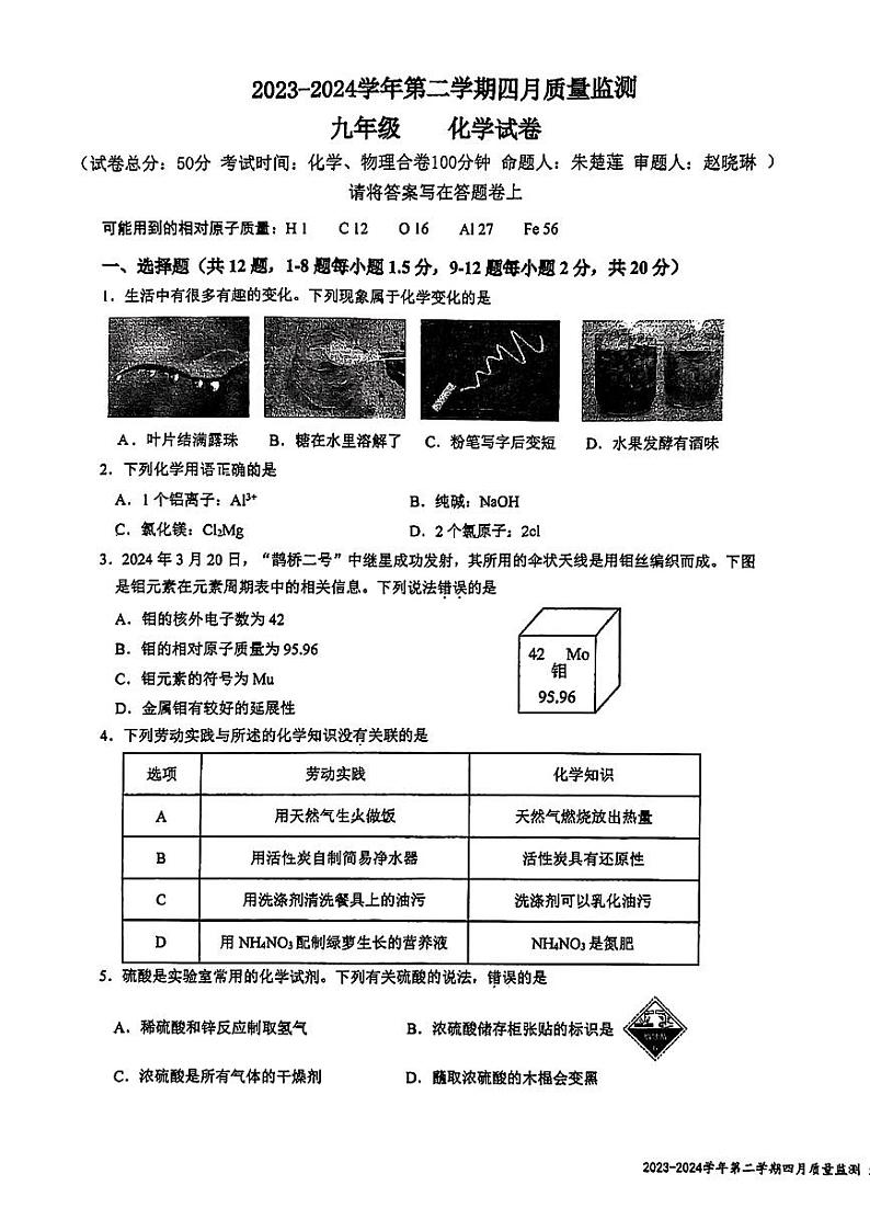 2024年广东省深圳市南山外国语学校中考二模化学试卷第1页