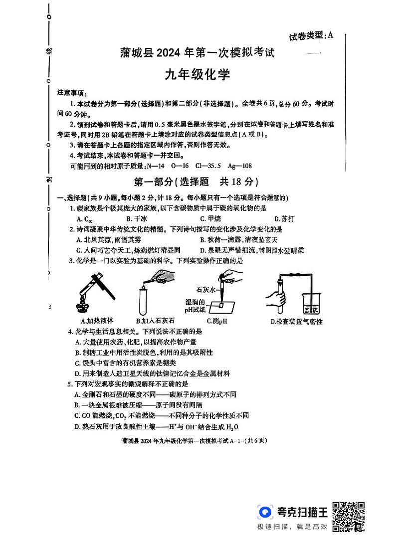 2024年陕西省渭南市蒲城县九年级第一次模拟考试化学试卷01