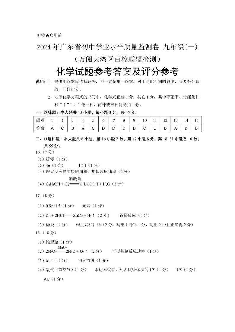 2024年广东省阳大湾区九年级中考一模化学试卷01
