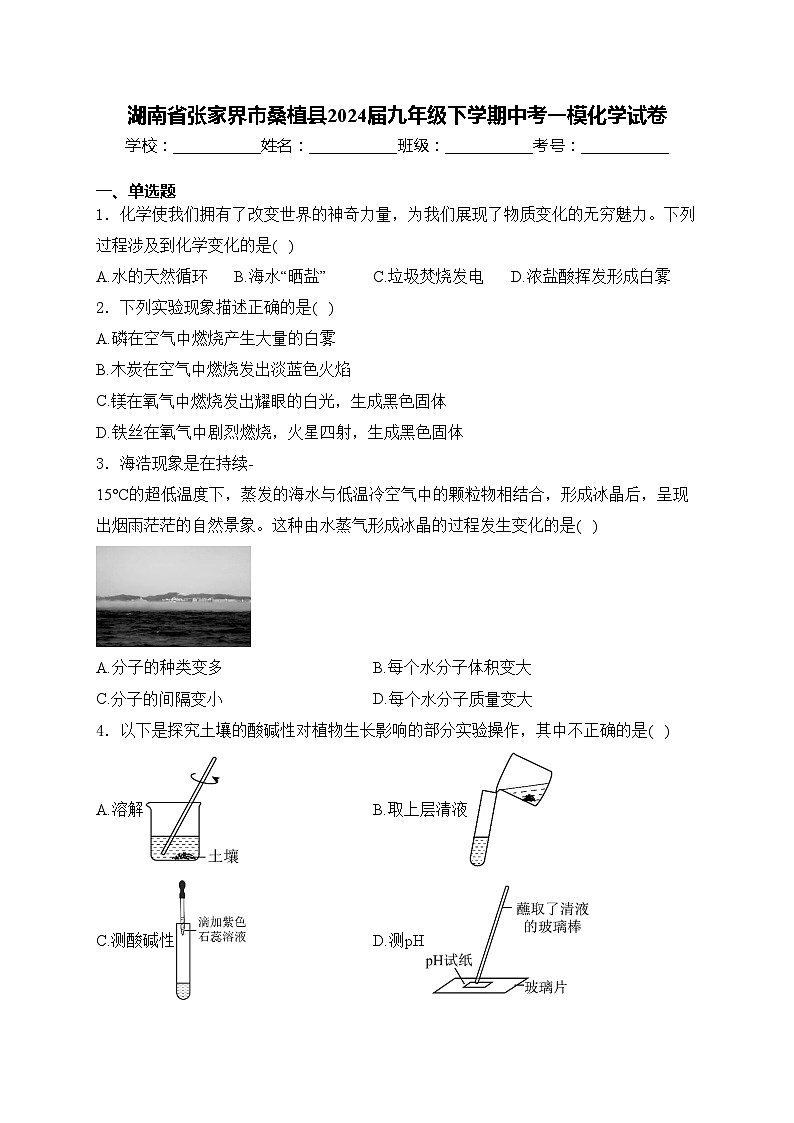 湖南省张家界市桑植县2024届九年级下学期中考一模化学试卷(含答案)01