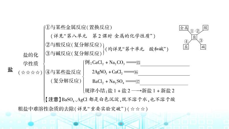 中考化学复习第十一单元盐化肥课件05