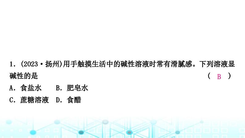 中考化学复习第十单元酸和碱第一课时常见的酸和碱课件第7页