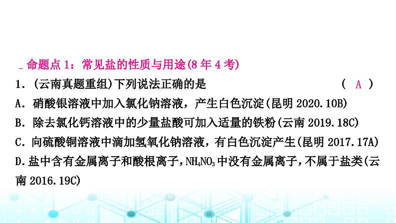 中考化学复习第十一单元盐化肥课件02