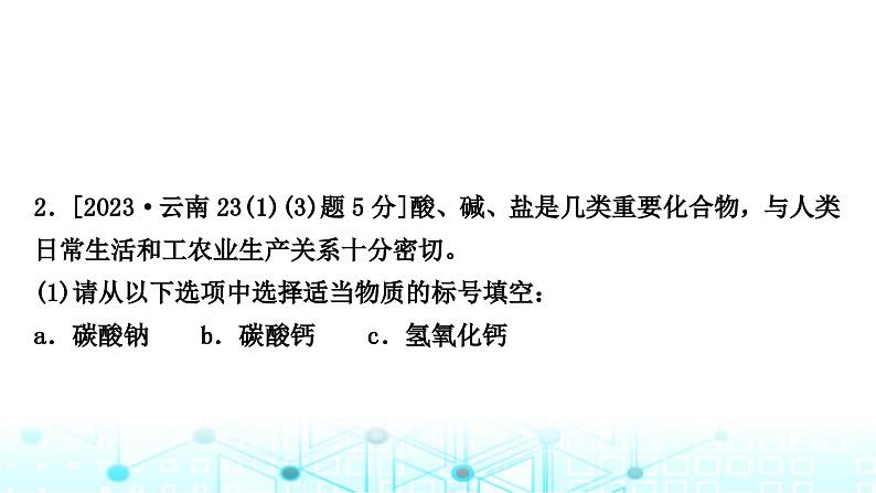 中考化学复习第十一单元盐化肥课件03